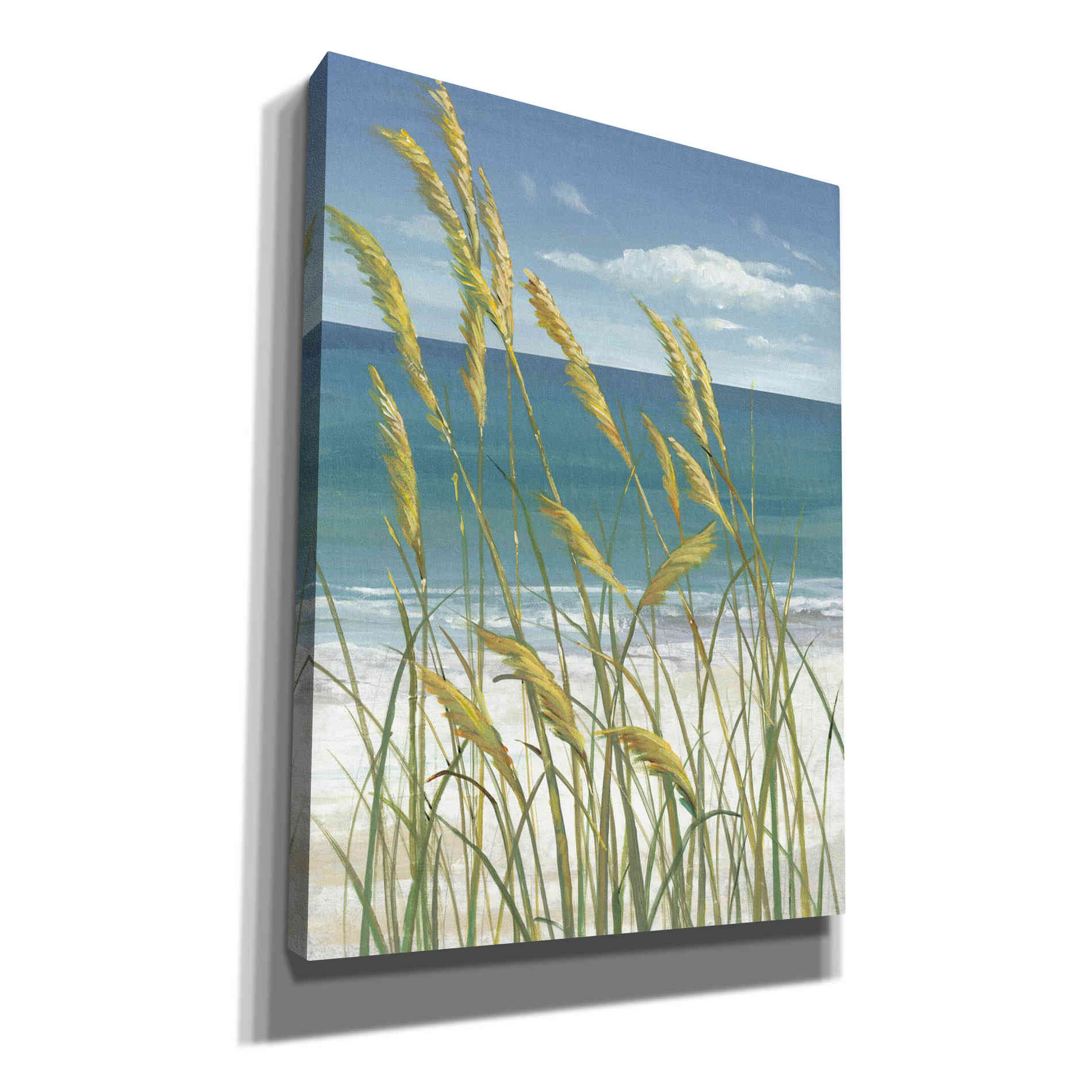 'Summer Breeze I' by Tim O'Toole, Canvas Wall Art