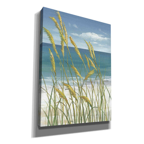 Image of 'Summer Breeze I' by Tim O'Toole, Canvas Wall Art
