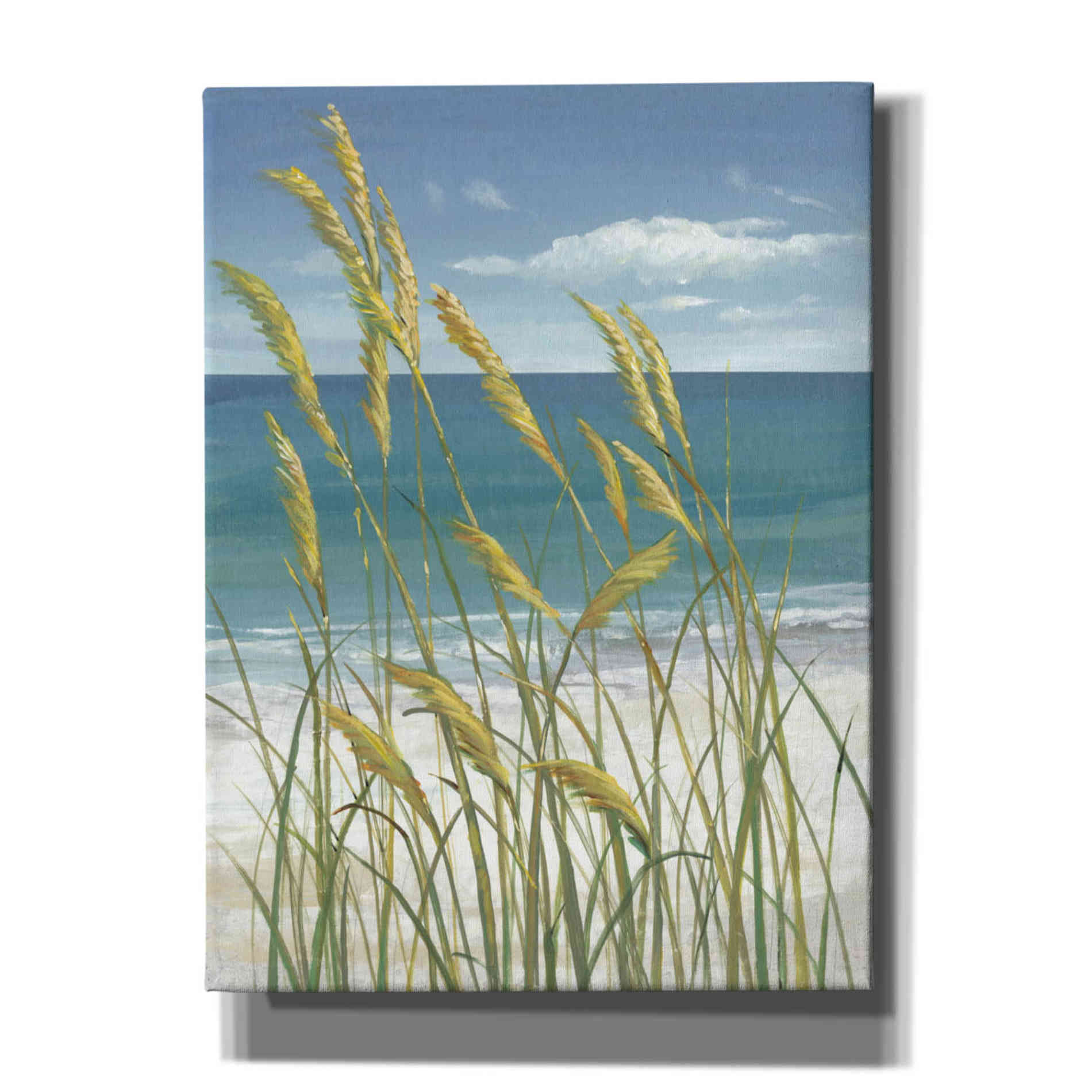 'Summer Breeze I' by Tim O'Toole, Canvas Wall Art