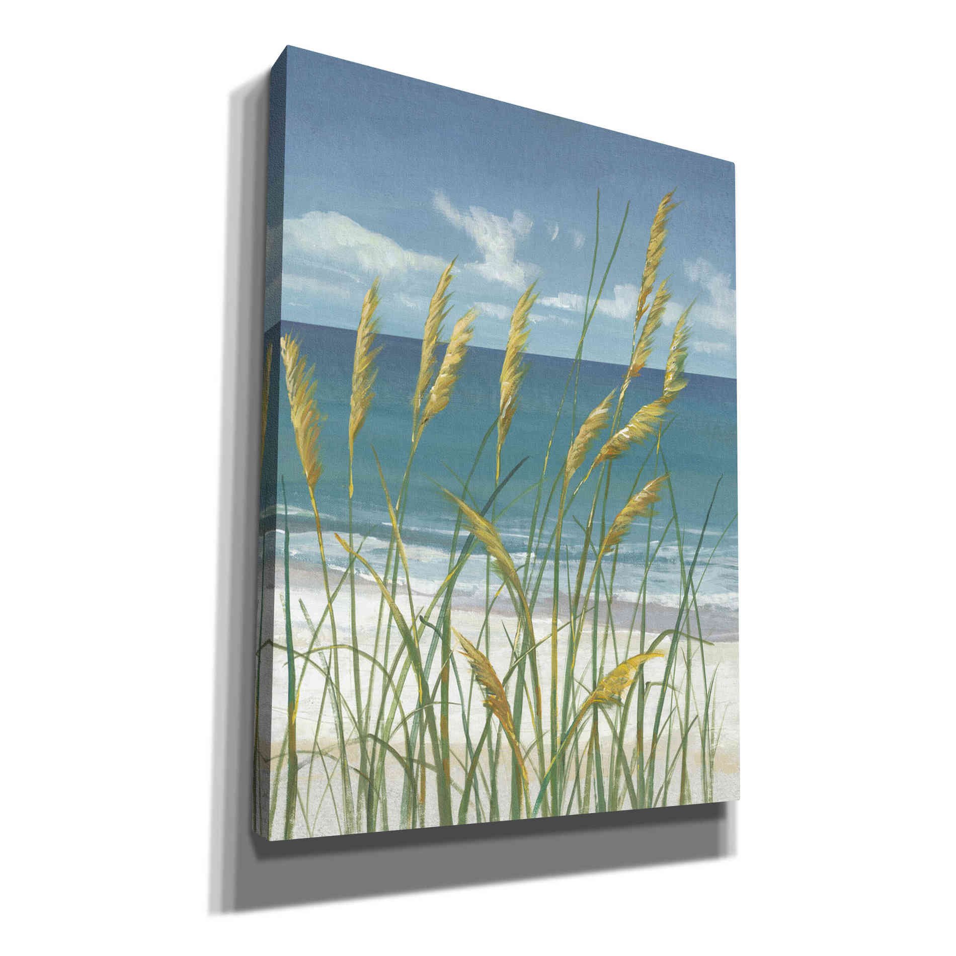 'Summer Breeze II' by Tim O'Toole, Canvas Wall Art