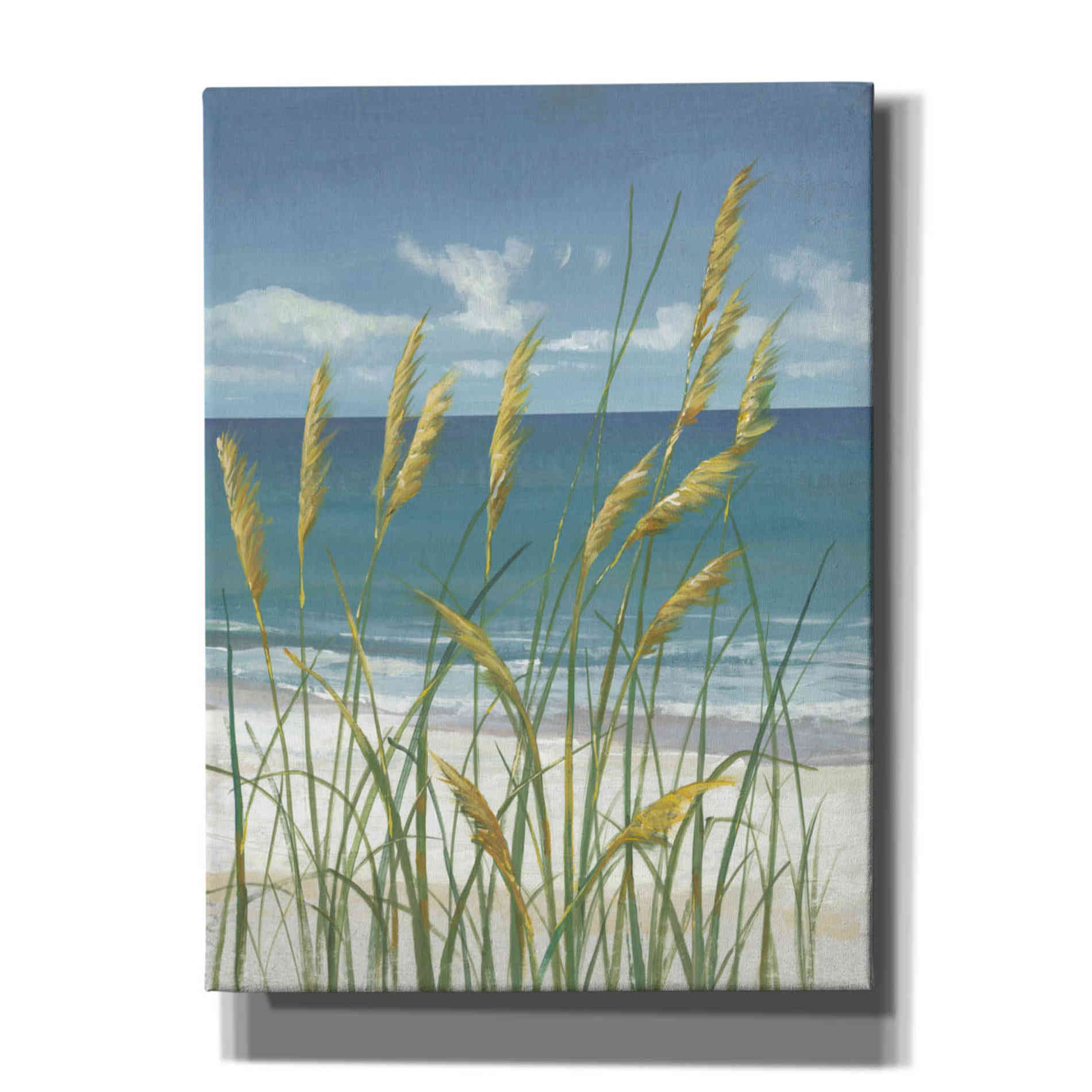 'Summer Breeze II' by Tim O'Toole, Canvas Wall Art