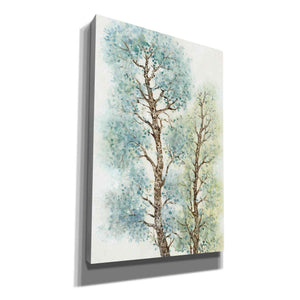'Tranquil Tree Tops I' by Tim O'Toole, Canvas Wall Art