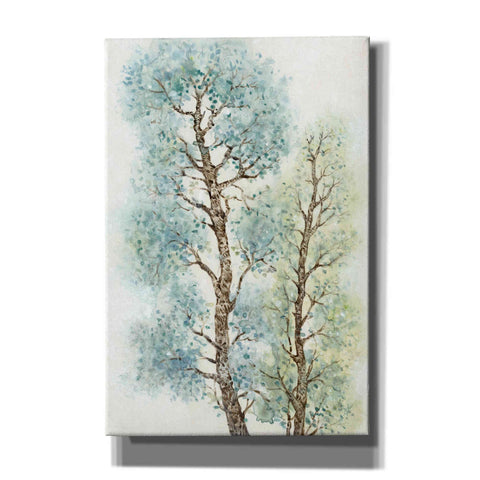 Image of 'Tranquil Tree Tops I' by Tim O'Toole, Canvas Wall Art