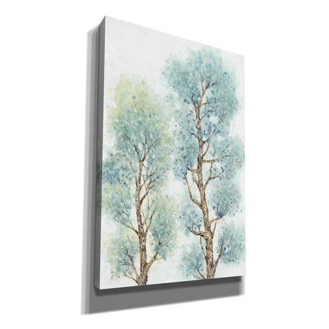 Image of 'Tranquil Tree Tops II' by Tim O'Toole, Canvas Wall Art