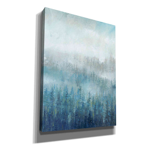 Image of 'Above the Mist I' by Tim O'Toole, Canvas Wall Art