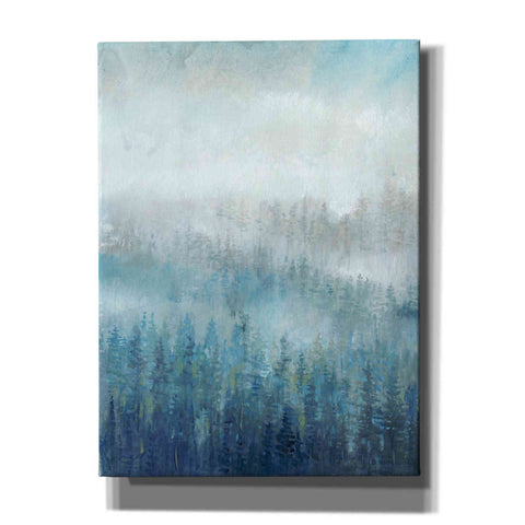 Image of 'Above the Mist I' by Tim O'Toole, Canvas Wall Art