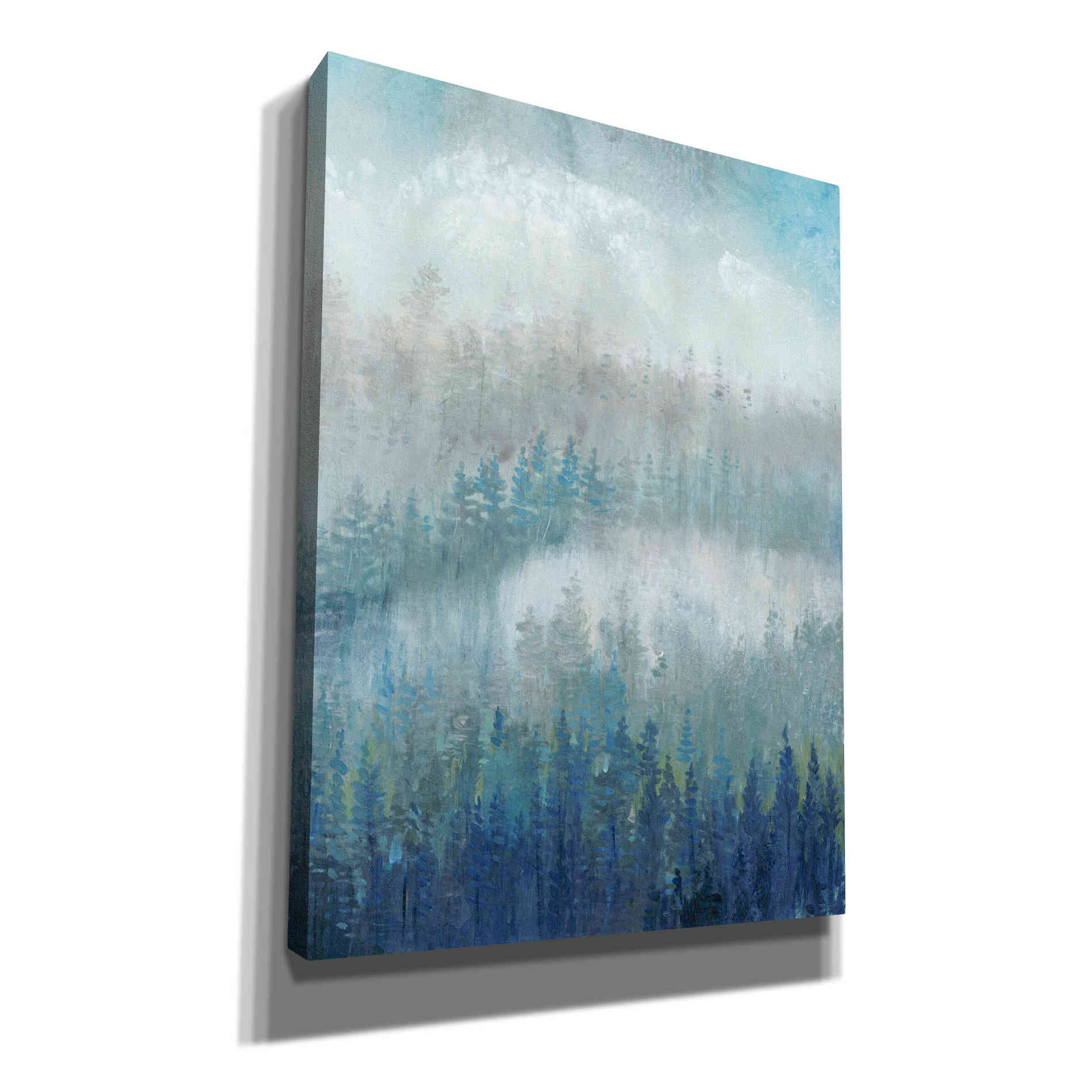 'Above the Mist II' by Tim O'Toole, Canvas Wall Art