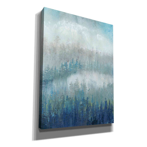 Image of 'Above the Mist II' by Tim O'Toole, Canvas Wall Art