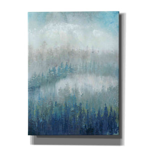 'Above the Mist II' by Tim O'Toole, Canvas Wall Art