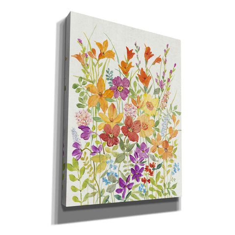 Image of 'Hot Summer Mix I' by Tim O'Toole, Canvas Wall Art