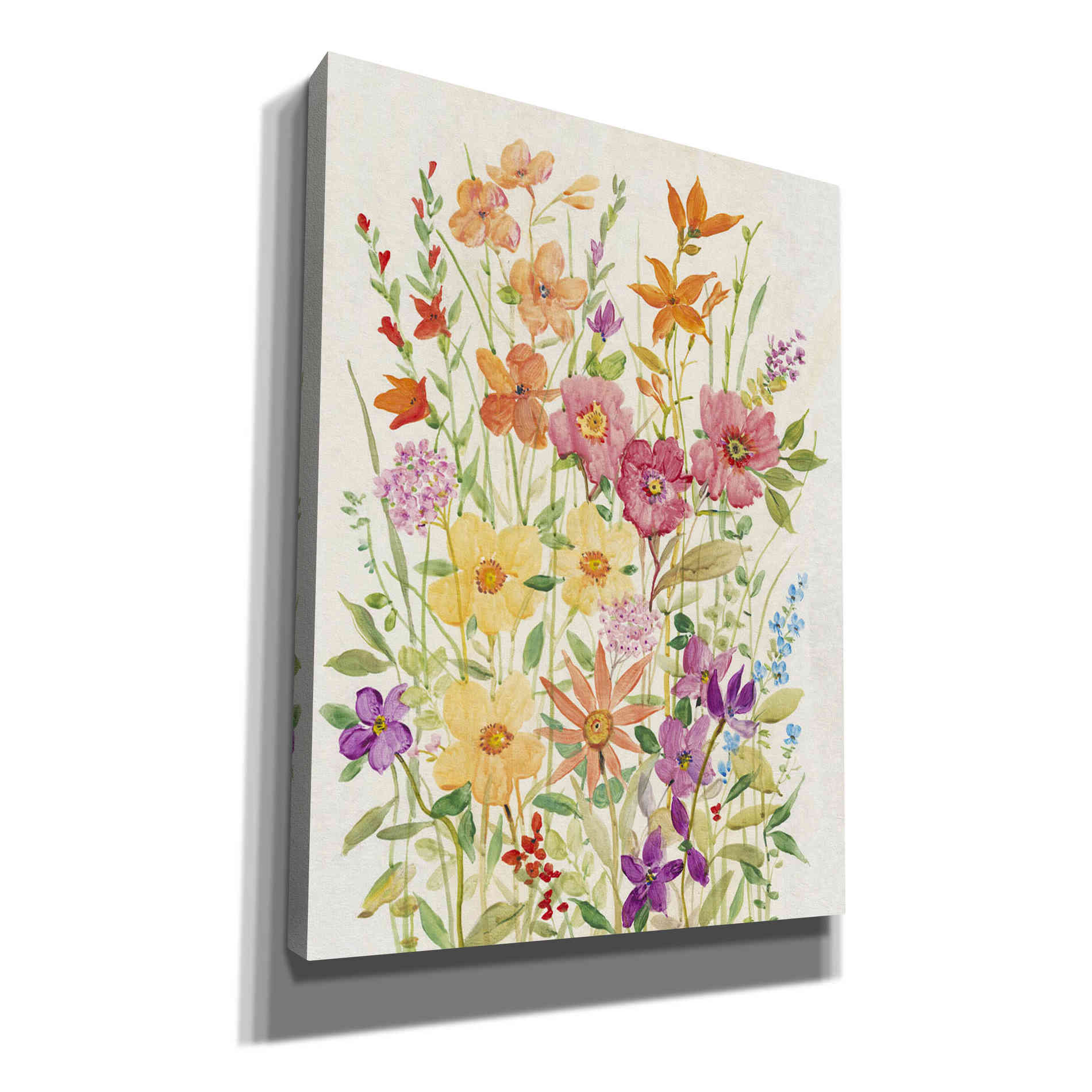 'Hot Summer Mix II' by Tim O'Toole, Canvas Wall Art