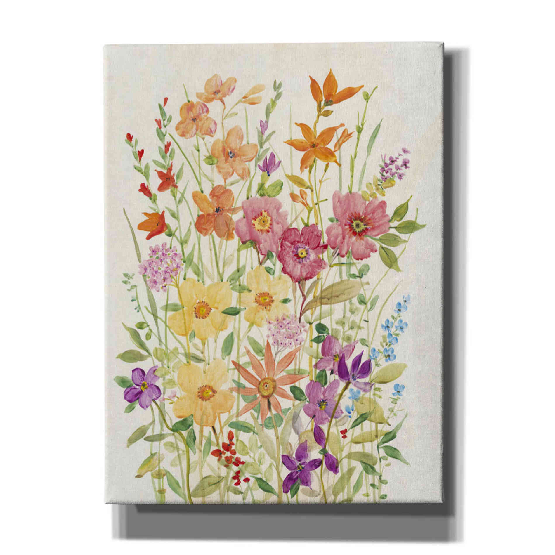 'Hot Summer Mix II' by Tim O'Toole, Canvas Wall Art