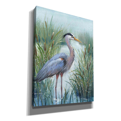 Image of 'Marsh Heron I' by Tim O'Toole, Canvas Wall Art