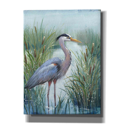 Image of 'Marsh Heron I' by Tim O'Toole, Canvas Wall Art