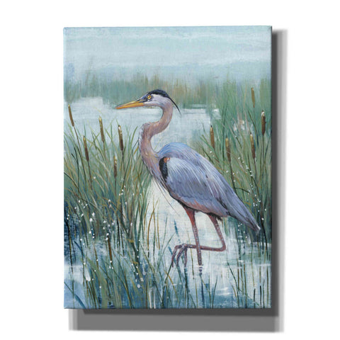 Image of 'Marsh Heron II' by Tim O'Toole, Canvas Wall Art