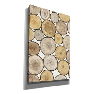'Tree Ring Study I' by Tim O'Toole, Canvas Wall Art