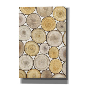 'Tree Ring Study II' by Tim O'Toole, Canvas Wall Art