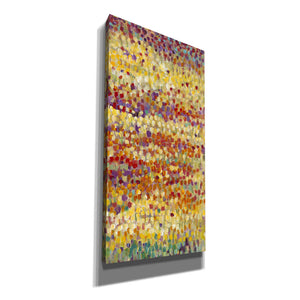 'Tulips in Bloom II' by Tim O'Toole, Canvas Wall Art