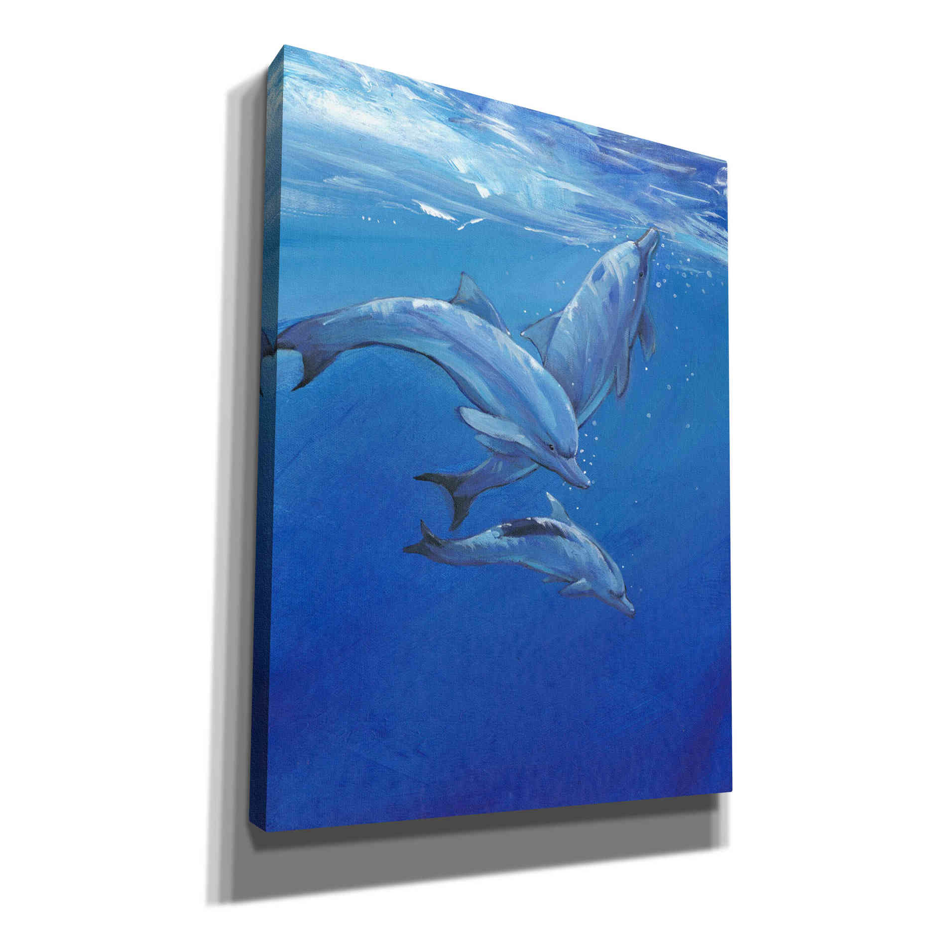 'Under Sea Dolphins' by Tim O'Toole, Canvas Wall Art