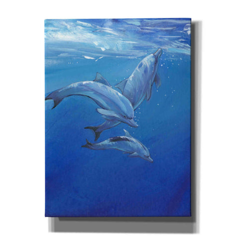 Image of 'Under Sea Dolphins' by Tim O'Toole, Canvas Wall Art