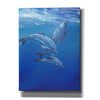 'Under Sea Dolphins' by Tim O'Toole, Canvas Wall Art