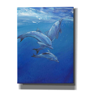 'Under Sea Dolphins' by Tim O'Toole, Canvas Wall Art