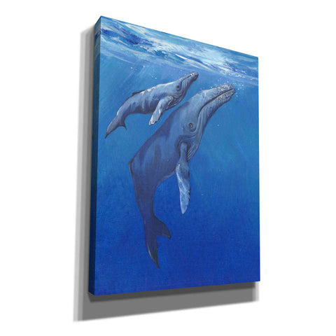 Image of 'Under Sea Whales I' by Tim O'Toole, Canvas Wall Art