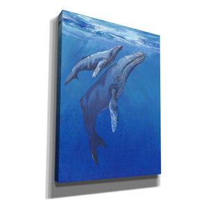 'Under Sea Whales I' by Tim O'Toole, Canvas Wall Art