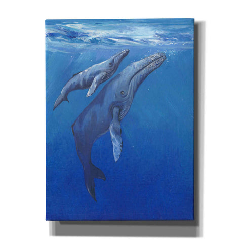 Image of 'Under Sea Whales I' by Tim O'Toole, Canvas Wall Art