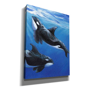 'Under Sea Whales II' by Tim O'Toole, Canvas Wall Art