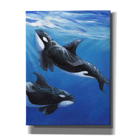 Image of 'Under Sea Whales II' by Tim O'Toole, Canvas Wall Art