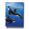 'Under Sea Whales II' by Tim O'Toole, Canvas Wall Art