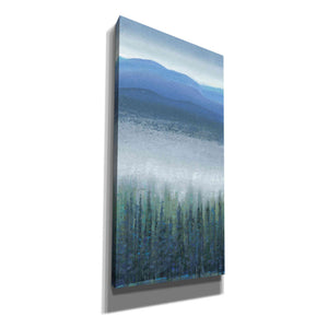 'Valley Fog I' by Tim O'Toole, Canvas Wall Art