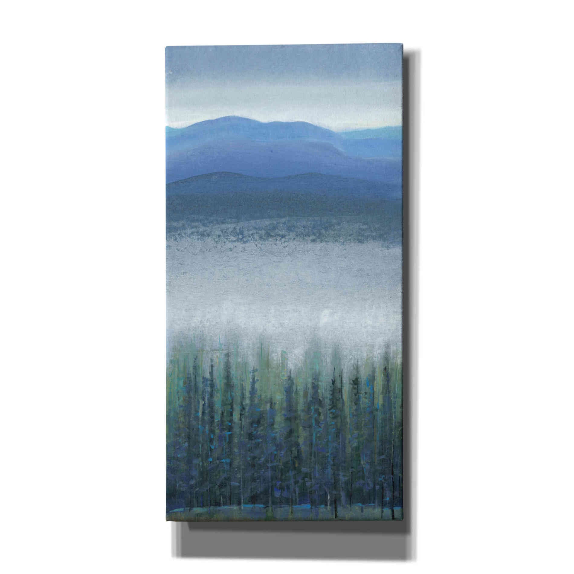 'Valley Fog I' by Tim O'Toole, Canvas Wall Art