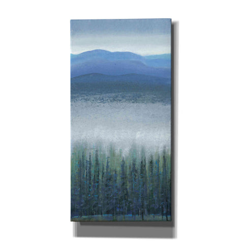 Image of 'Valley Fog I' by Tim O'Toole, Canvas Wall Art