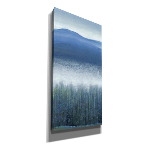 Image of 'Valley Fog II' by Tim O'Toole, Canvas Wall Art