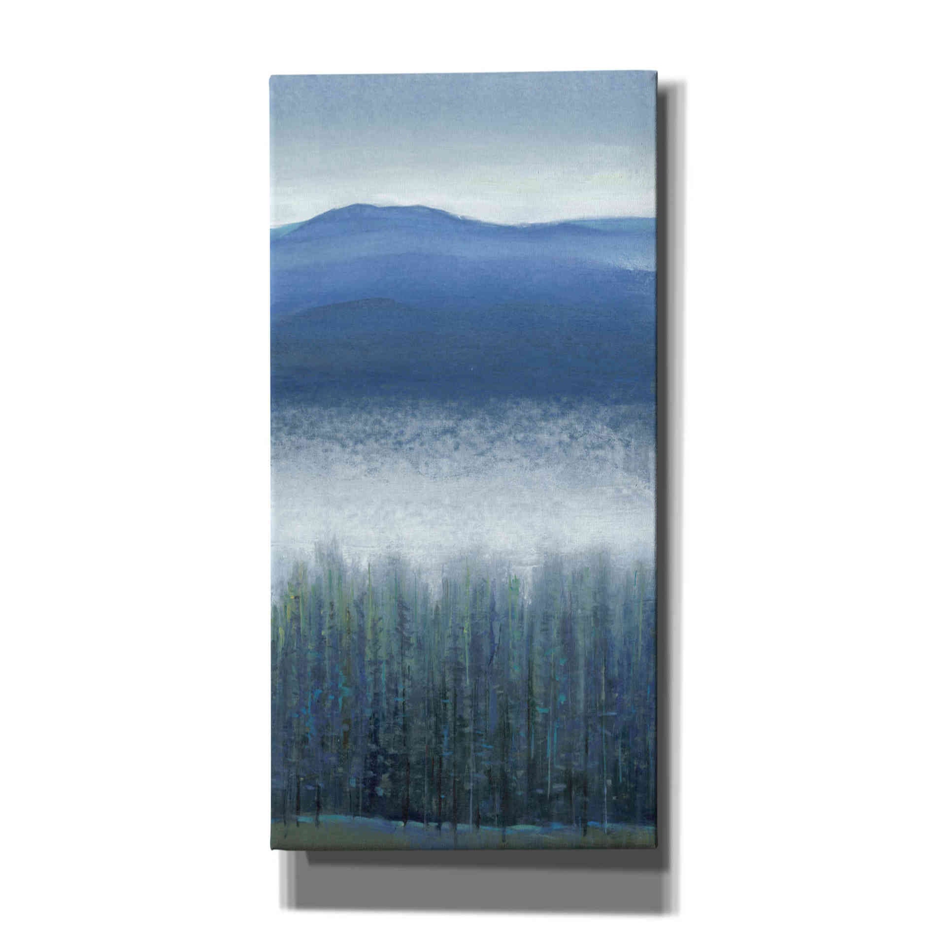 'Valley Fog II' by Tim O'Toole, Canvas Wall Art