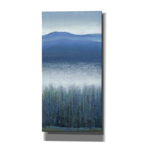 Image of 'Valley Fog II' by Tim O'Toole, Canvas Wall Art