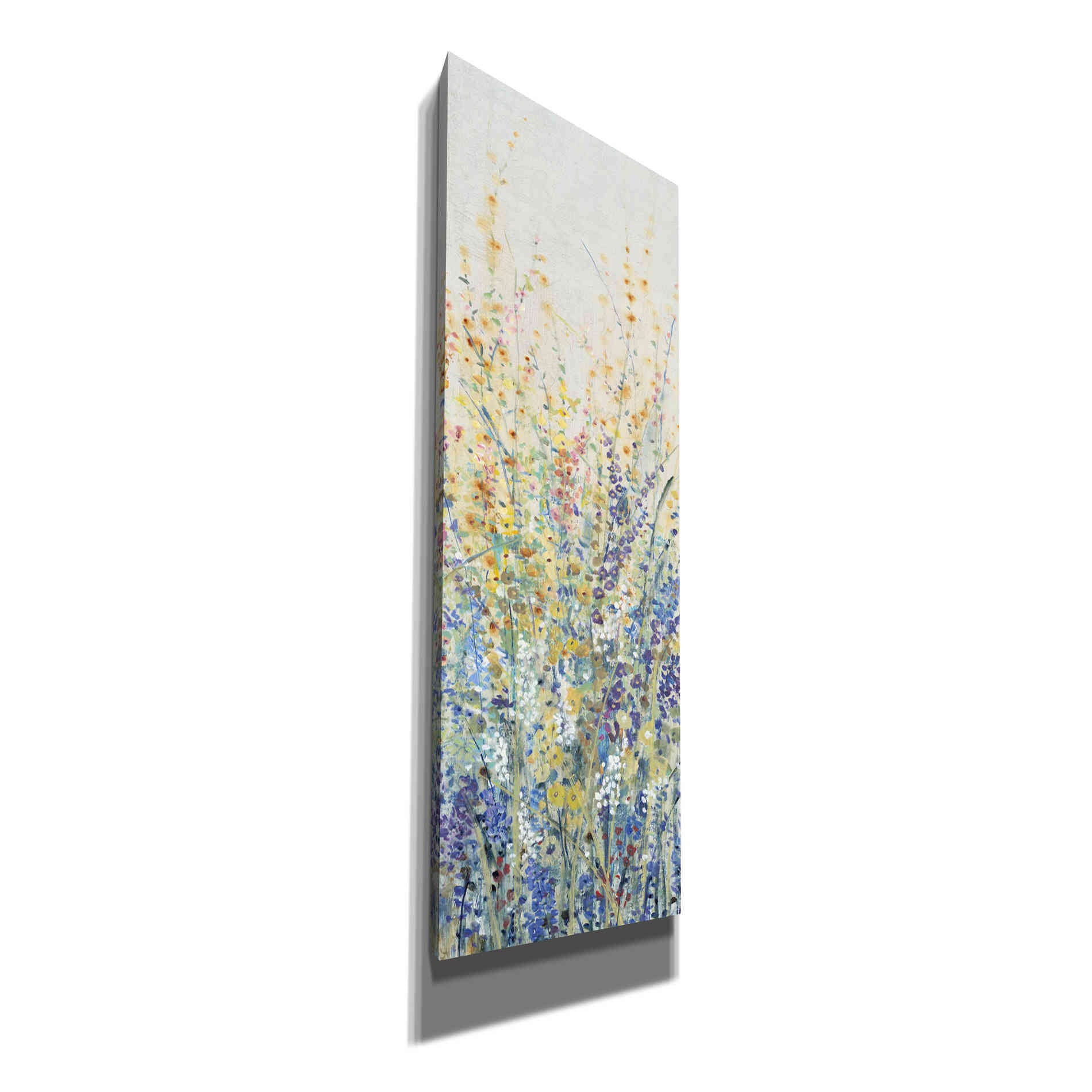 'Wildflower Panel I' by Tim O'Toole, Canvas Wall Art