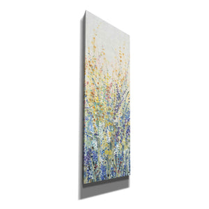'Wildflower Panel I' by Tim O'Toole, Canvas Wall Art