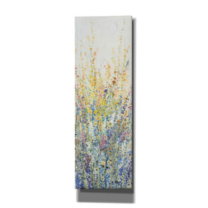 'Wildflower Panel II' by Tim O'Toole, Canvas Wall Art