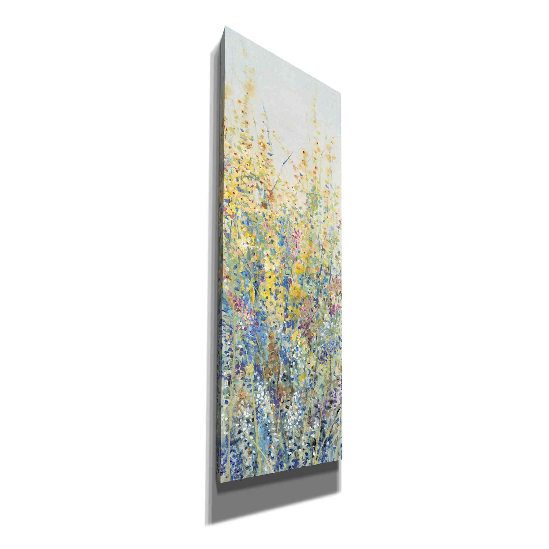 'Wildflower Panel III' by Tim O'Toole, Canvas Wall Art