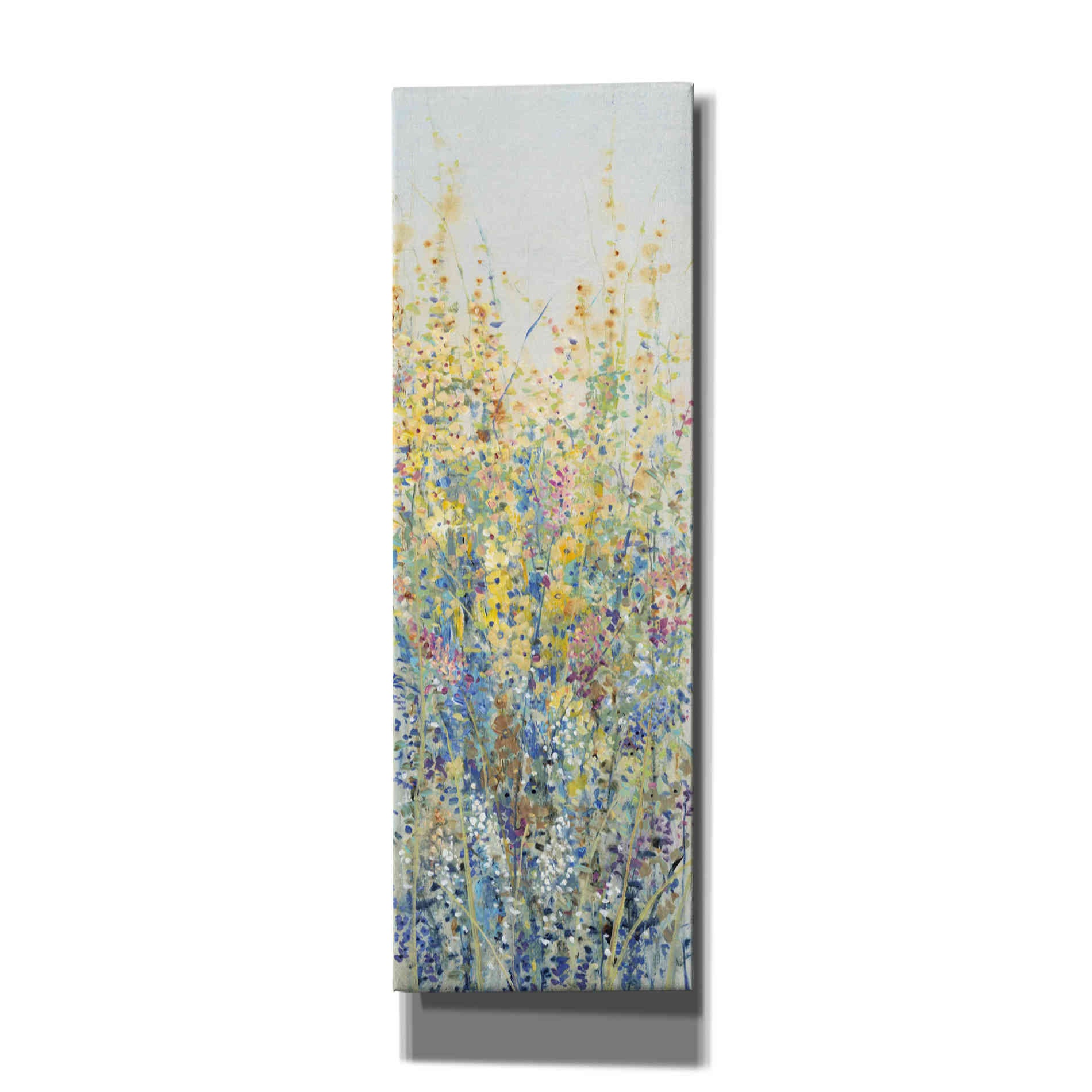 'Wildflower Panel III' by Tim O'Toole, Canvas Wall Art