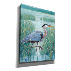 'Wetland Heron I' by Tim O'Toole, Canvas Wall Art