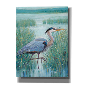 'Wetland Heron I' by Tim O'Toole, Canvas Wall Art