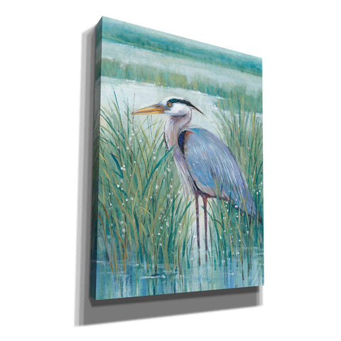 Image of 'Wetland Heron II' by Tim O'Toole, Canvas Wall Art