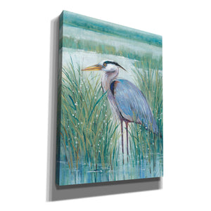 'Wetland Heron II' by Tim O'Toole, Canvas Wall Art