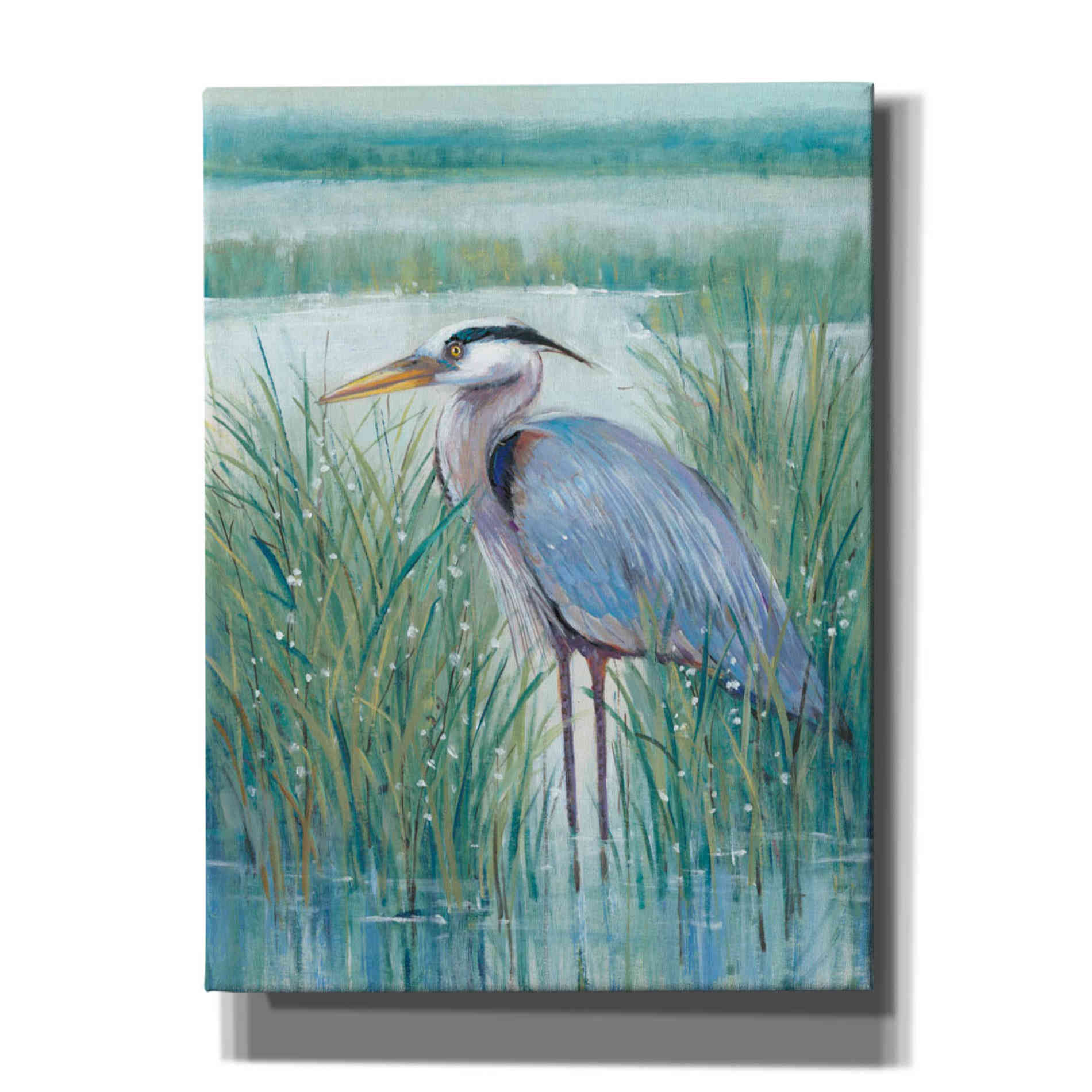 'Wetland Heron II' by Tim O'Toole, Canvas Wall Art