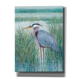 'Wetland Heron II' by Tim O'Toole, Canvas Wall Art