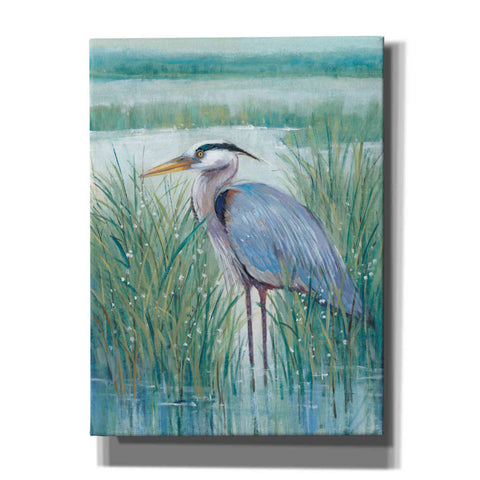 Image of 'Wetland Heron II' by Tim O'Toole, Canvas Wall Art